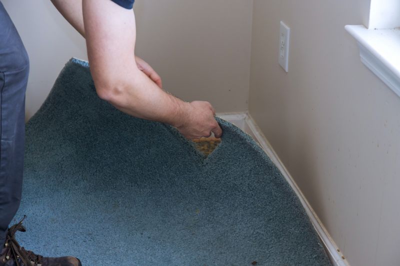 Basement Carpet Stretching in Olathe, KS