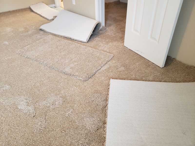 Basement Carpet Stretching in Burlington County, NJ