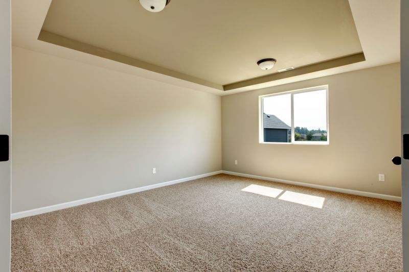 Carpet Patching in Olathe, KS