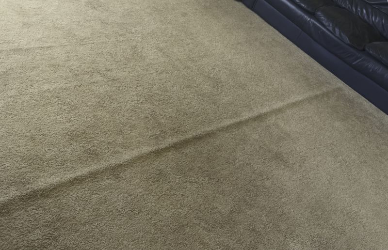 Carpet Smoothing in Littleton, CO