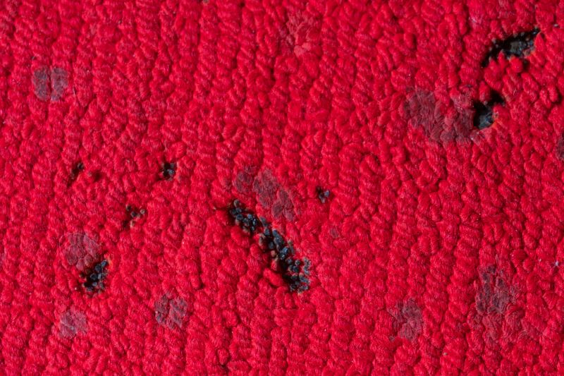 Residential Carpet Repair in Littleton, CO